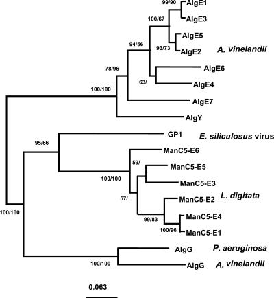 Figure 6.