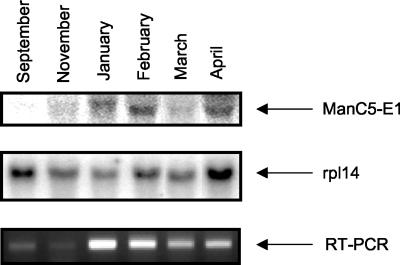 Figure 7.