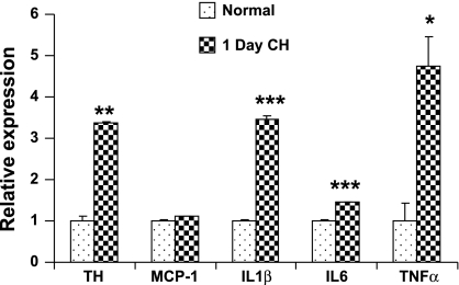 Fig. 4.