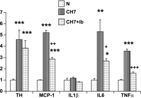 Fig. 8.