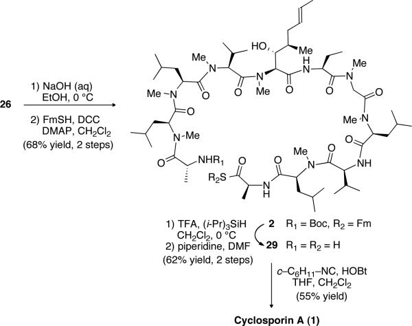 Scheme 9