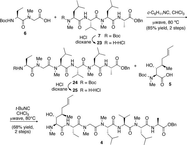 Scheme 6