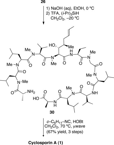 Scheme 10