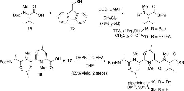 Scheme 4