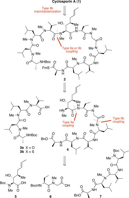 Scheme 2