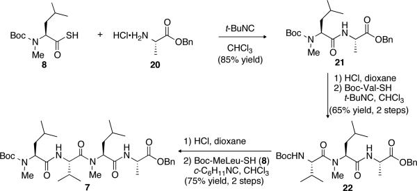 Scheme 5