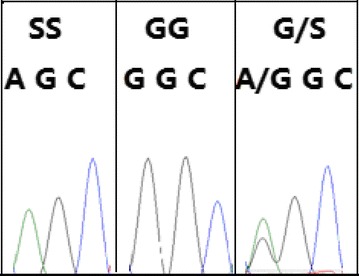 Fig. 3