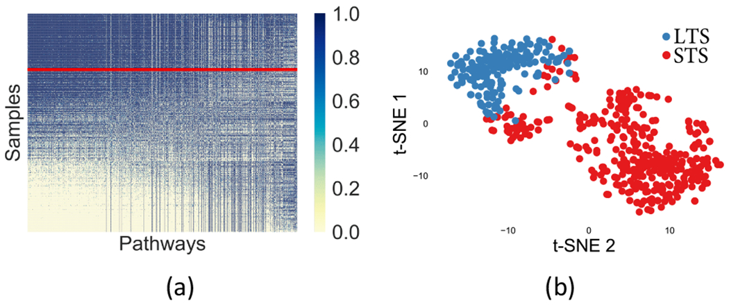 Fig. 10.