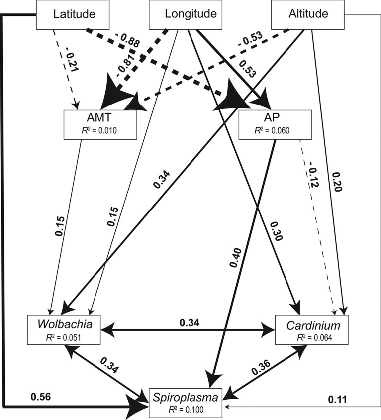 FIG 2