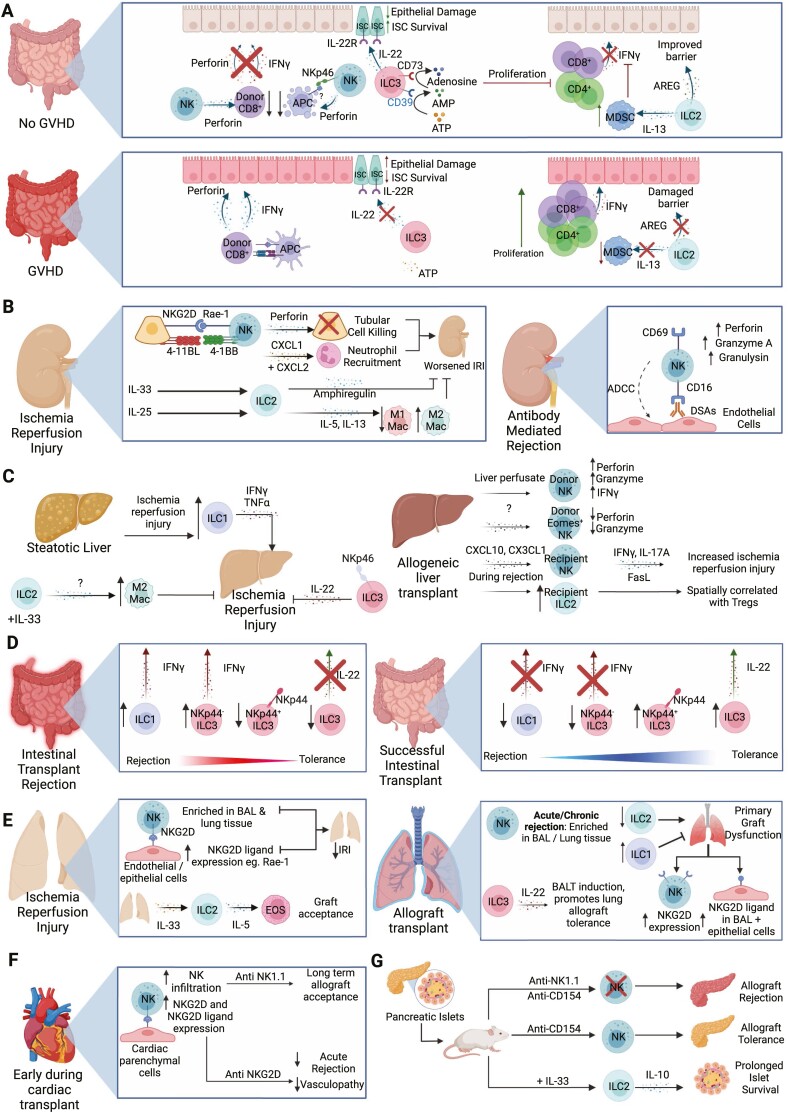 Graphical Abstract