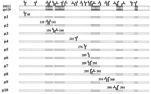 FIG. 1