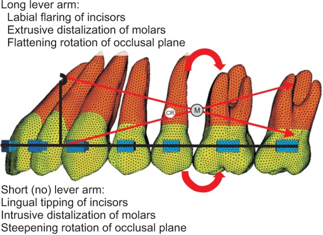 Figure 8