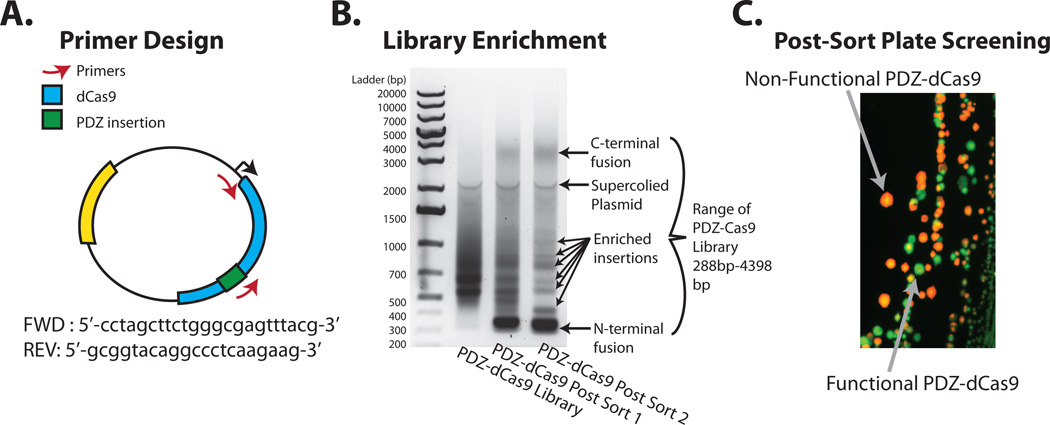 Figure 6