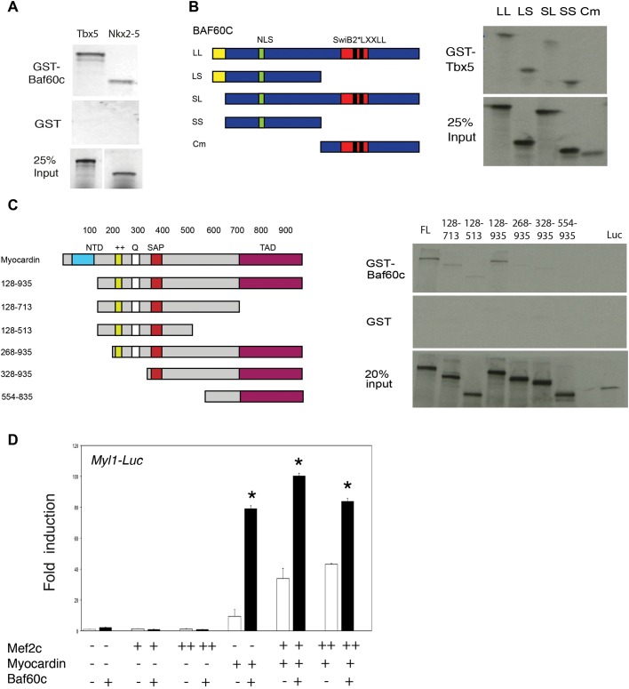 Fig. 7.