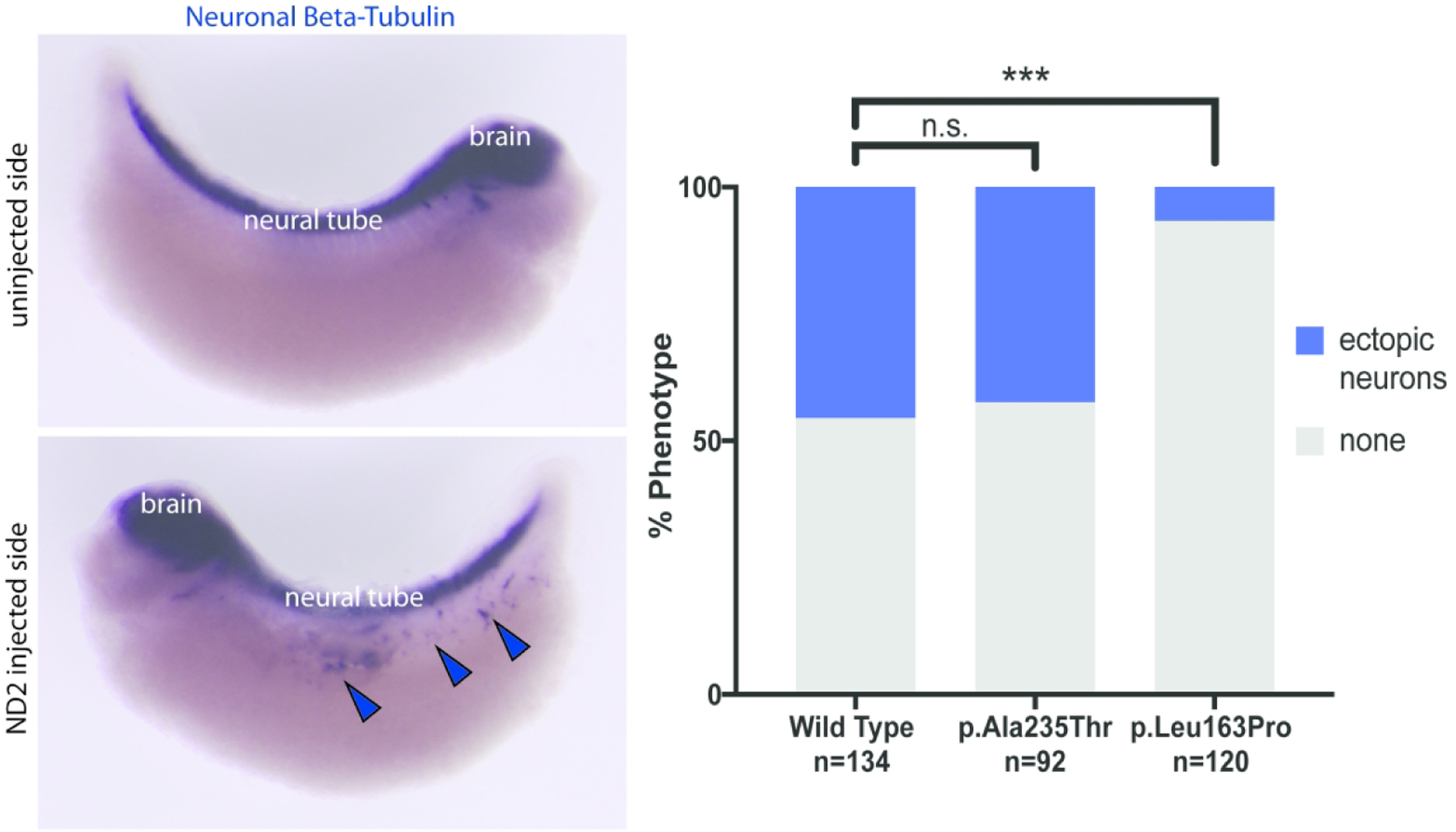 Figure 2: