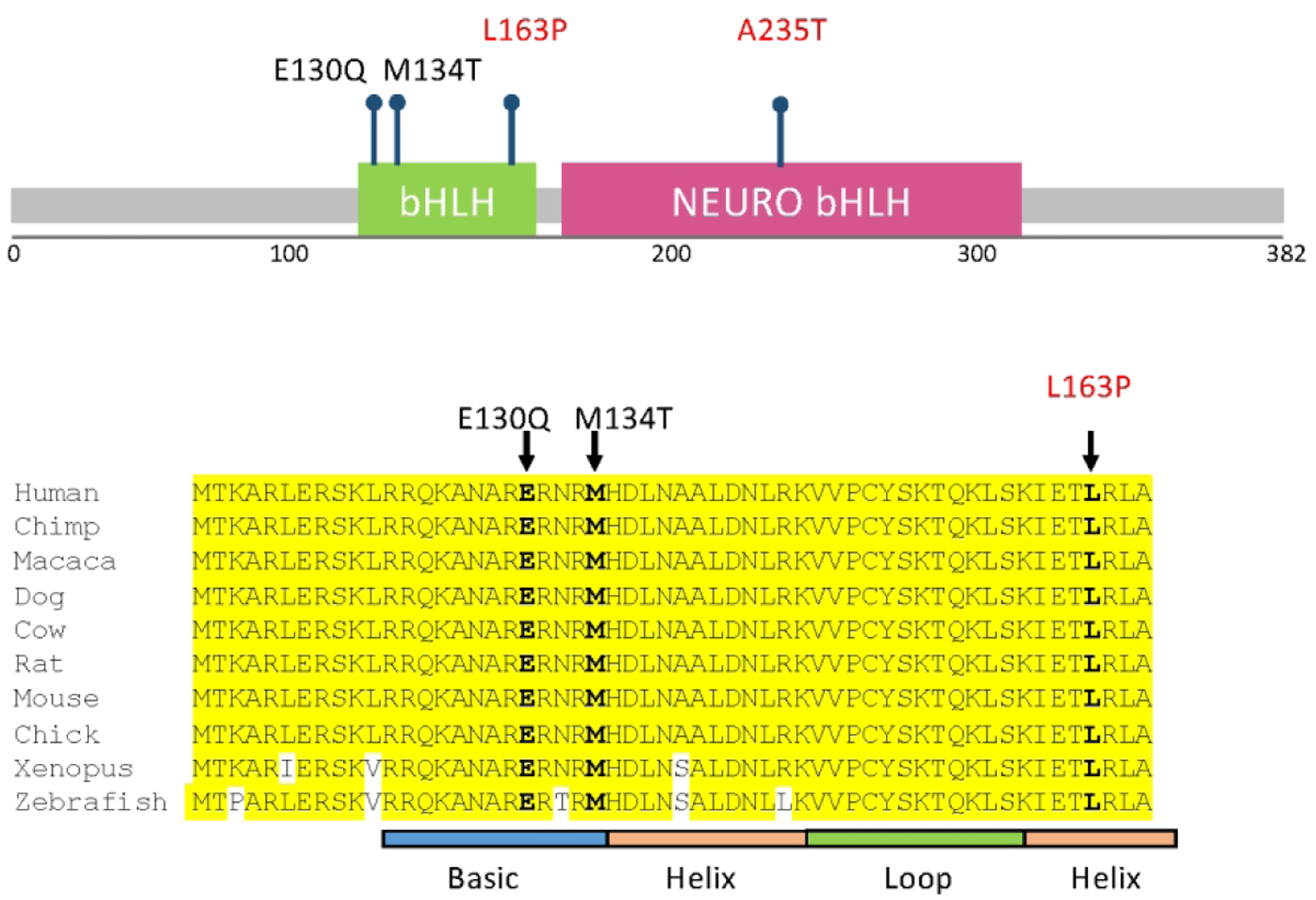 Figure 1: