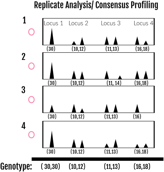 Figure 4