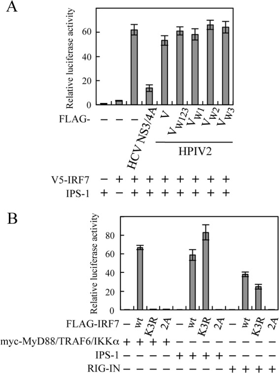 Fig 7