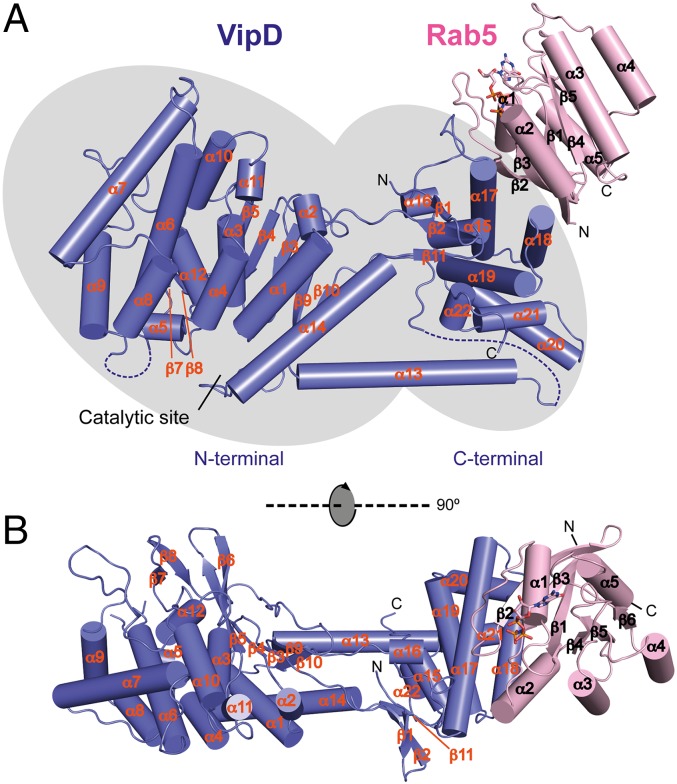 Fig. 1.