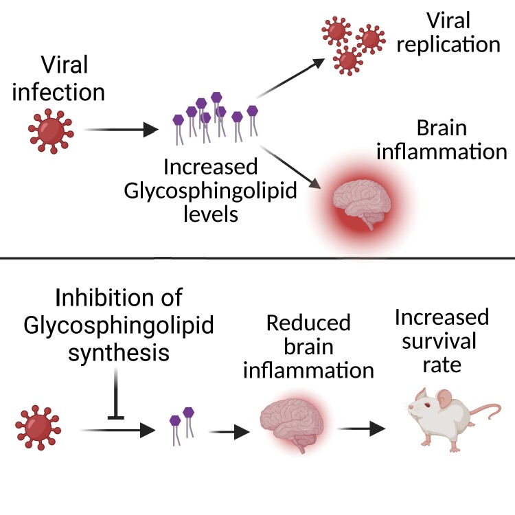 Graphical abstract