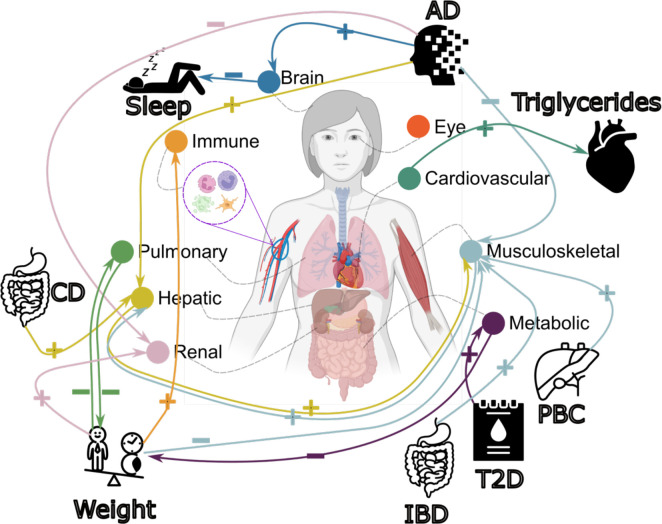 Figure 6: