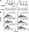 FIG. 3.