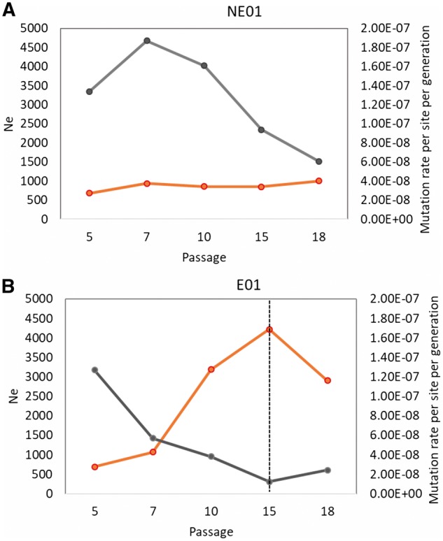 Figure 5.