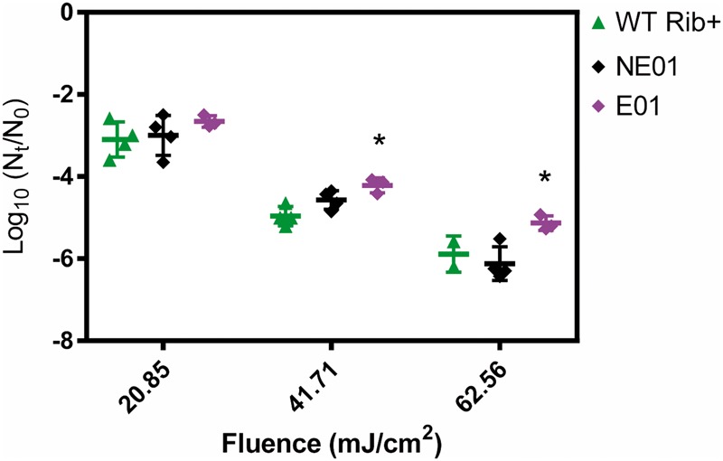 Figure 3.