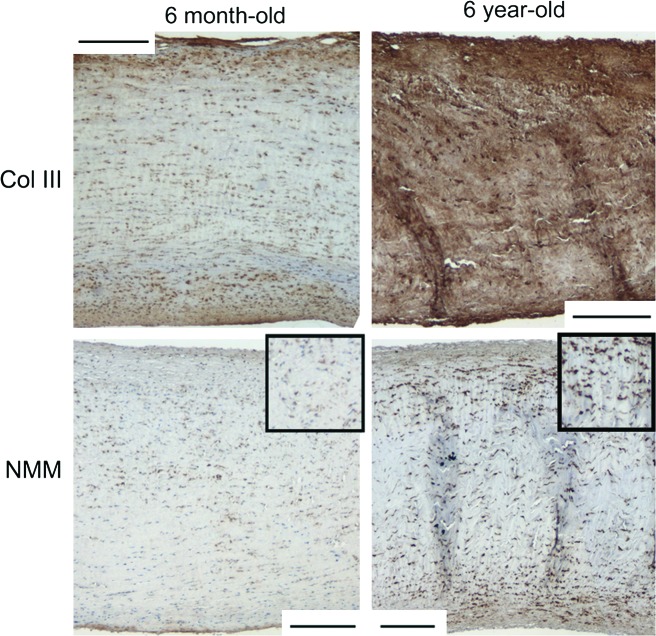 FIG. 10.