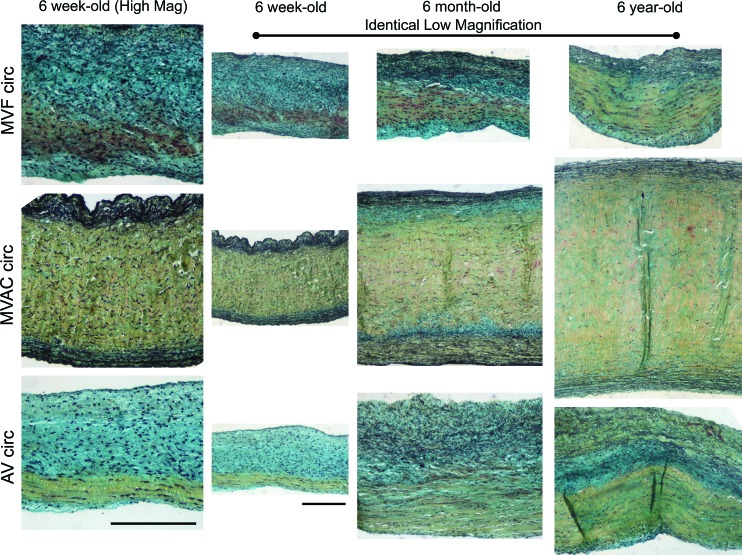 FIG. 9.