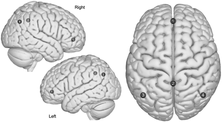 Figure 2: