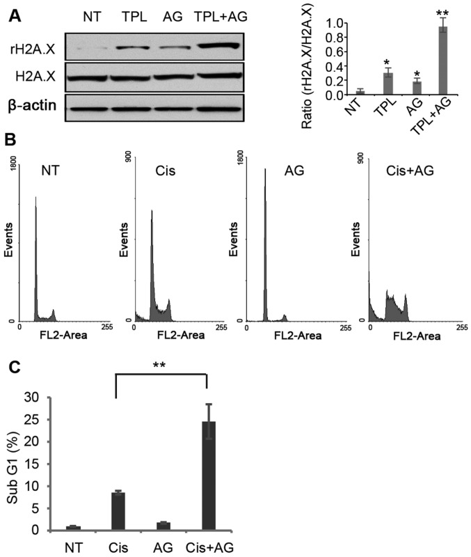 Figure 4.