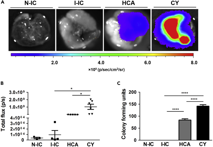 Figure 4