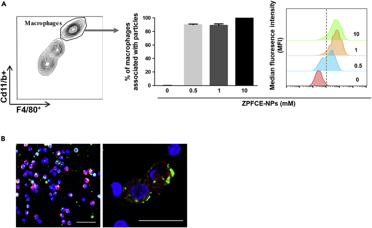 Figure 1