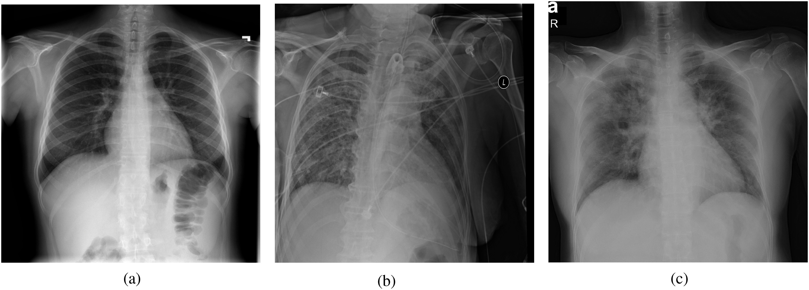 Fig. 2.