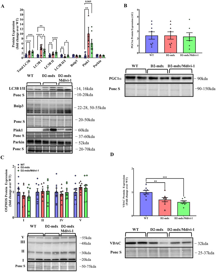 Figure 4: