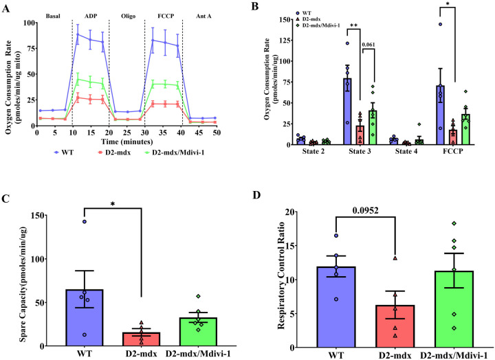 Figure 6.