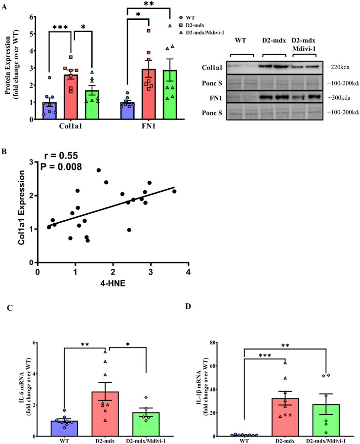 Figure 9: