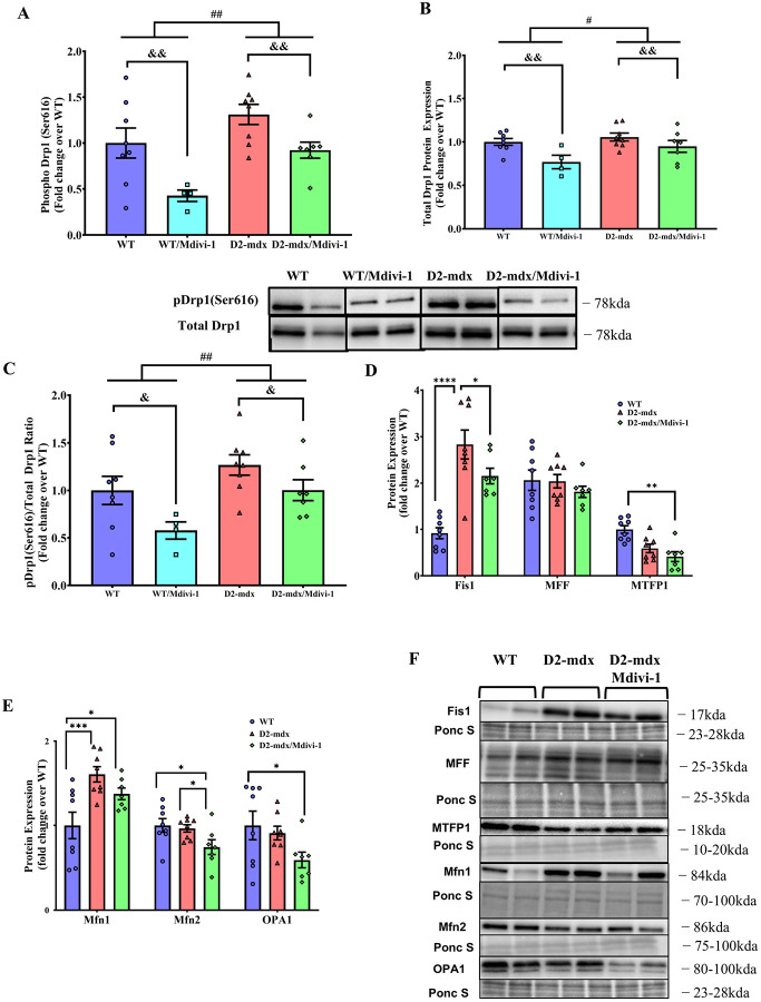 Figure 3: