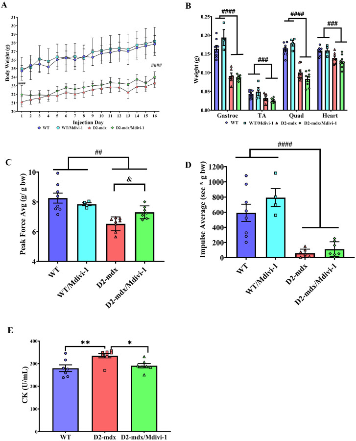 Figure 2: