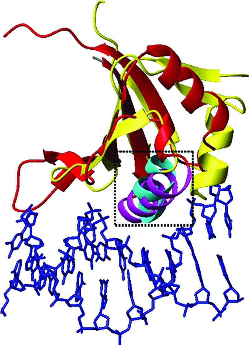 FIG. 7.