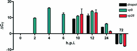 FIG. 1.