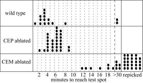 Fig. 8.