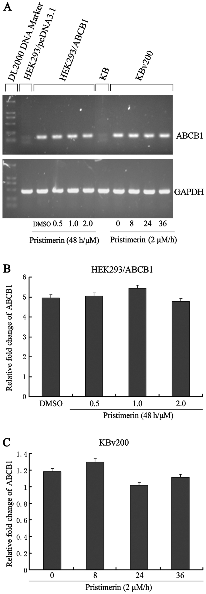 Figure 5.