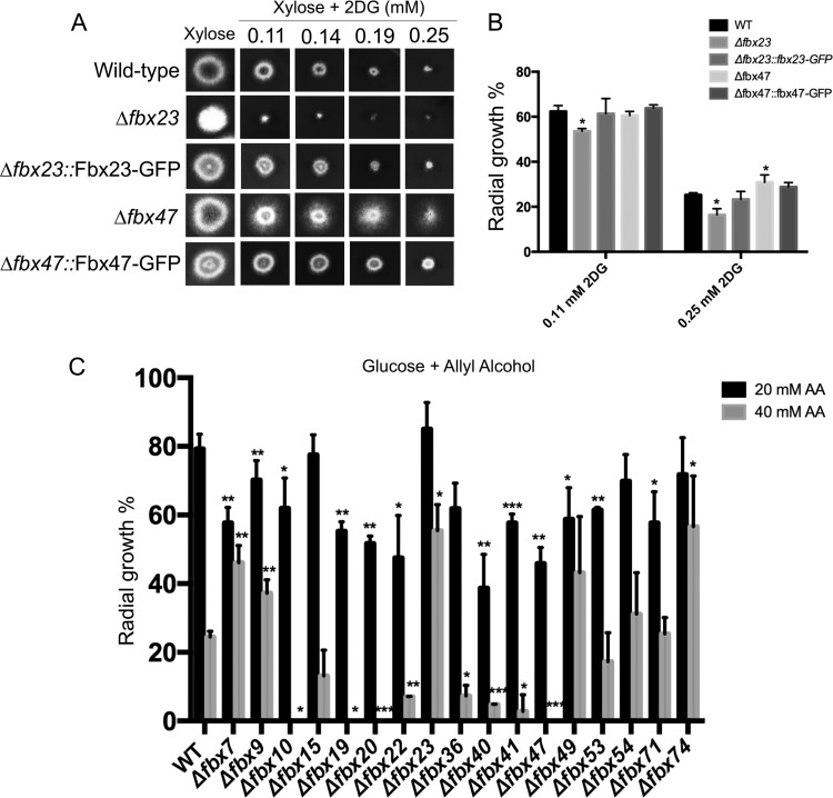 FIG 1 