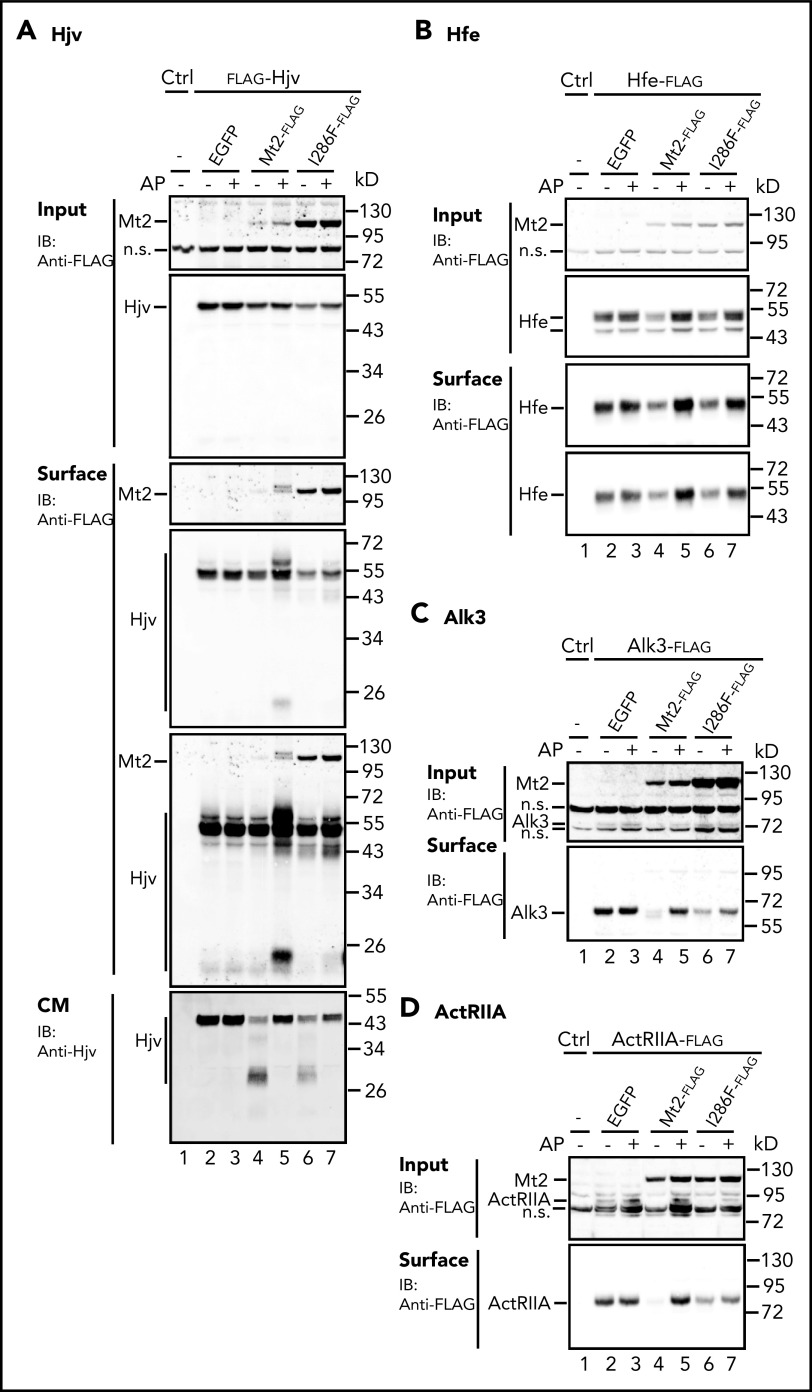 Figure 4.