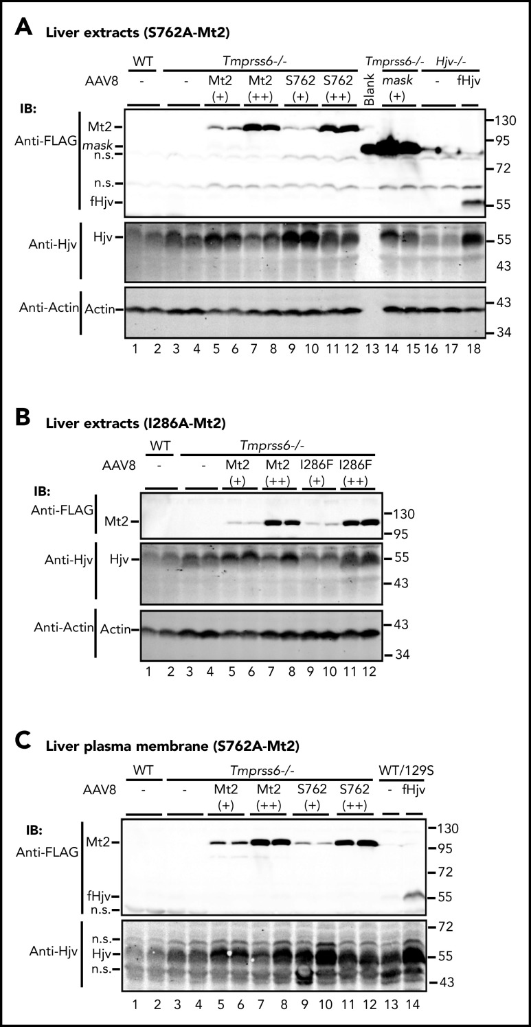 Figure 6.