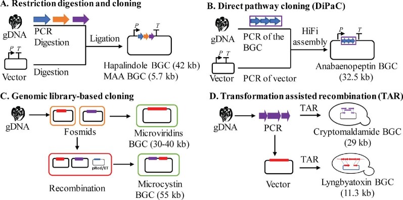 Fig. 2.