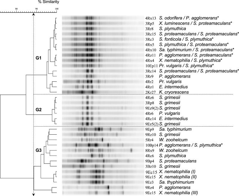 FIG. 1.