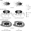 FIG. 8.